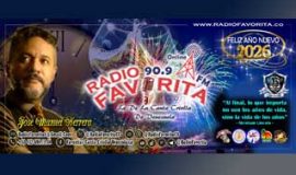 Programa Fin de Año 2025